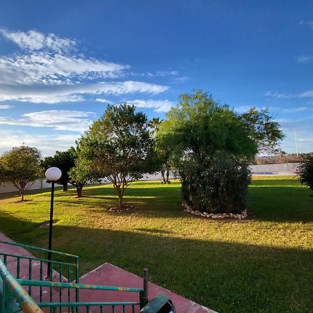 Skyline 21 Daire Torrevieja Dış mekan fotoğraf